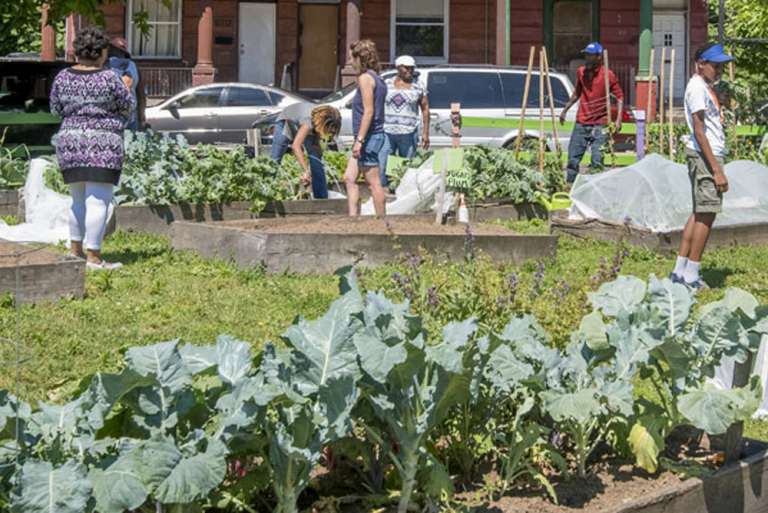 Strawberry Mansion – Neighborhood Gardens Trust