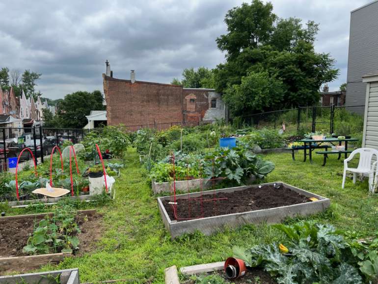 Help Pulaski Zeralda Community Garden Grow on GivingTuesday ...